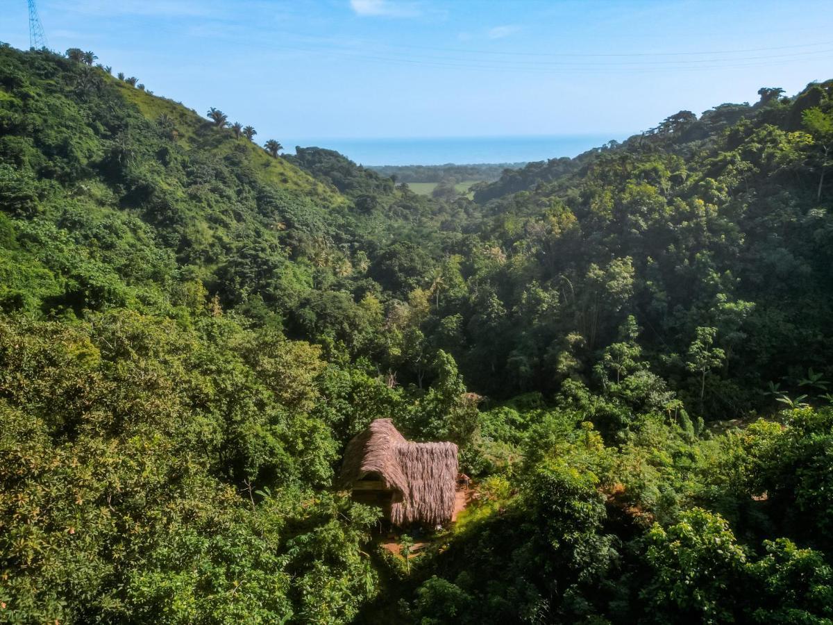 Finca La Selvita Chocolate Experience Бурітака Екстер'єр фото